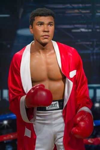 Muhammed Ali.jpg