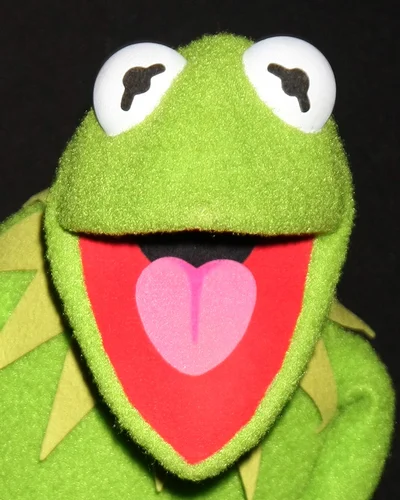 Kermit the frog.jpg