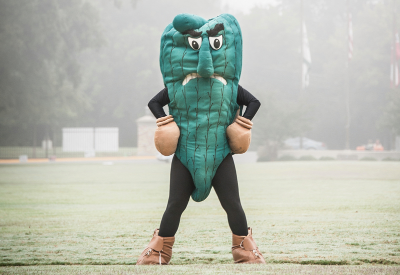 fighting okra.jpg