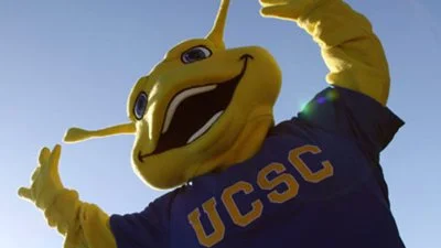 banana slug 3.jpg