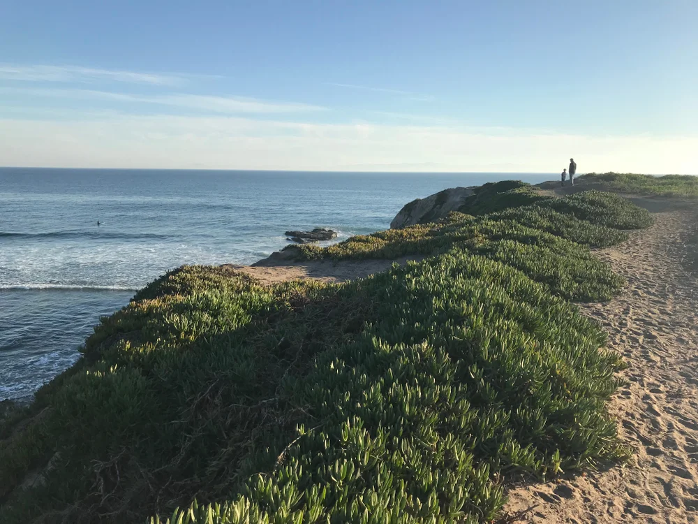 Campus Point Beach.jpg