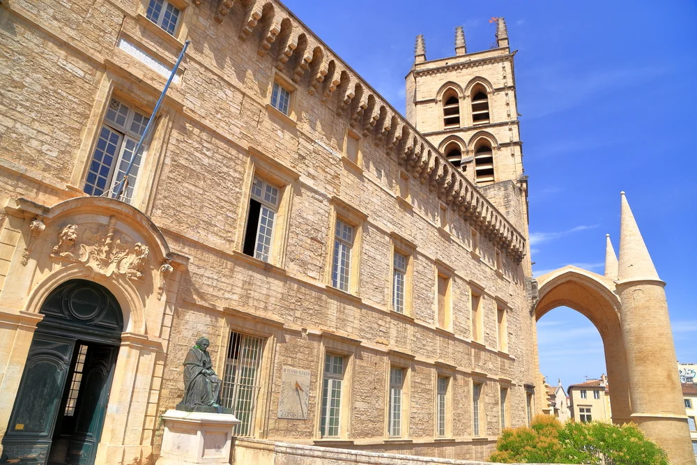 University of Montpellier 3.jpg