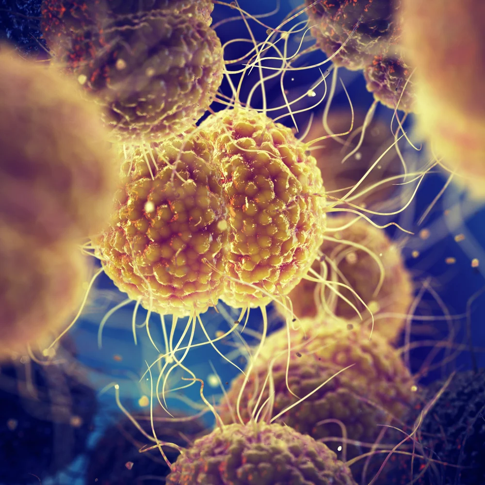 Gonorrhea_15 facts.jpg