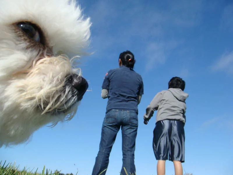 sinister %22falcor' dog photobomb_goog.jpg