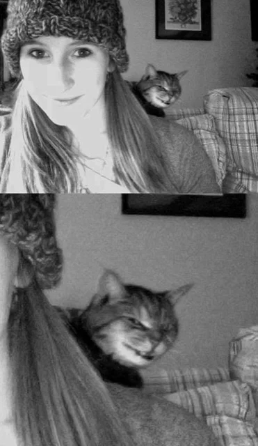 evil cat photobomb_goog.jpg