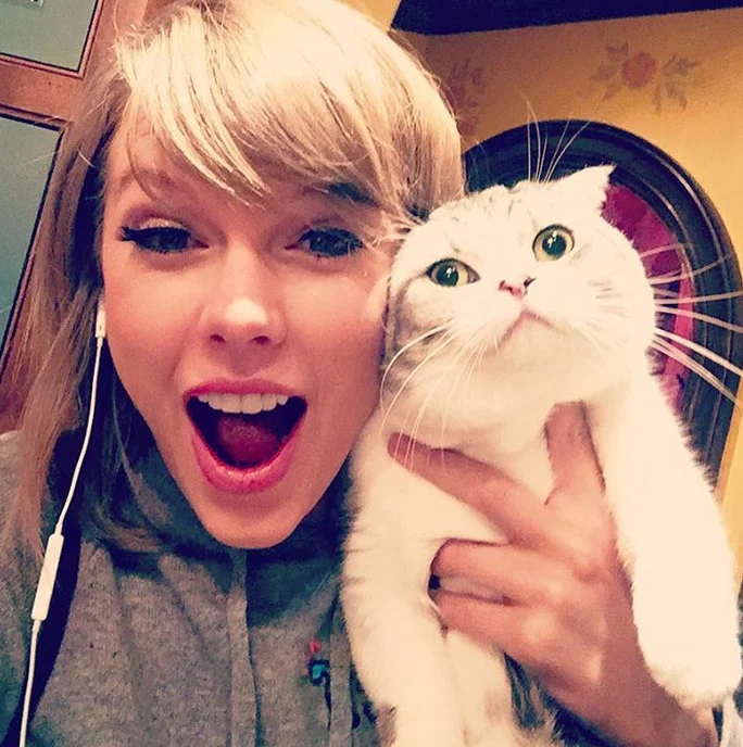 taylor swifts cat.jpg