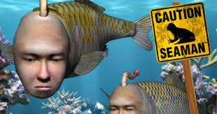 seaman_google.jpg
