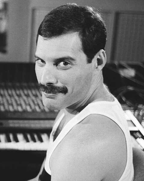 The Daily Dropout Best Celebrity Mustaches
