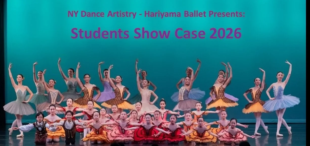 Hariyama Graphic 1.jpg