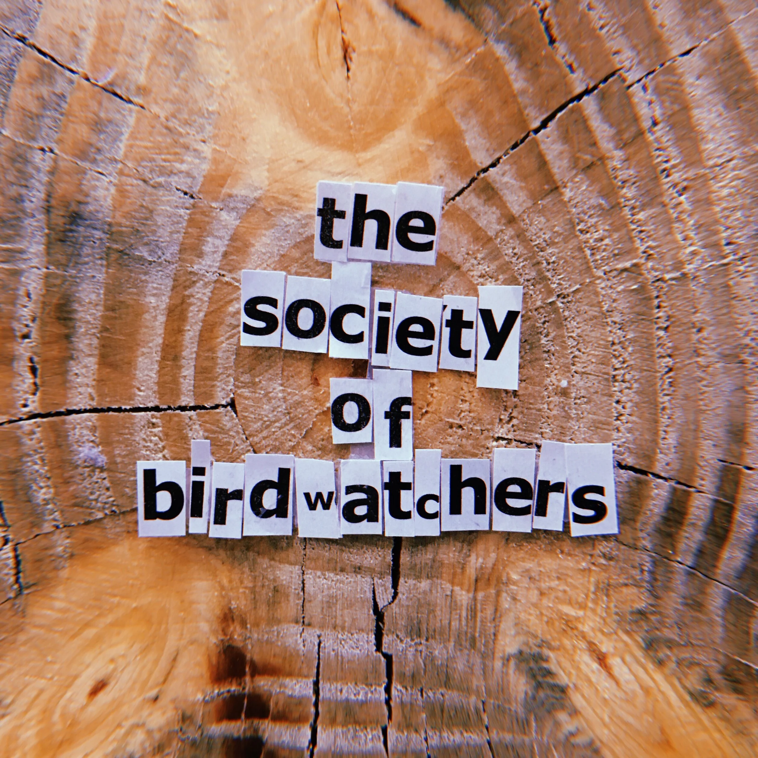 THE SOCIETY OF BIRDWATCHERS.jpg