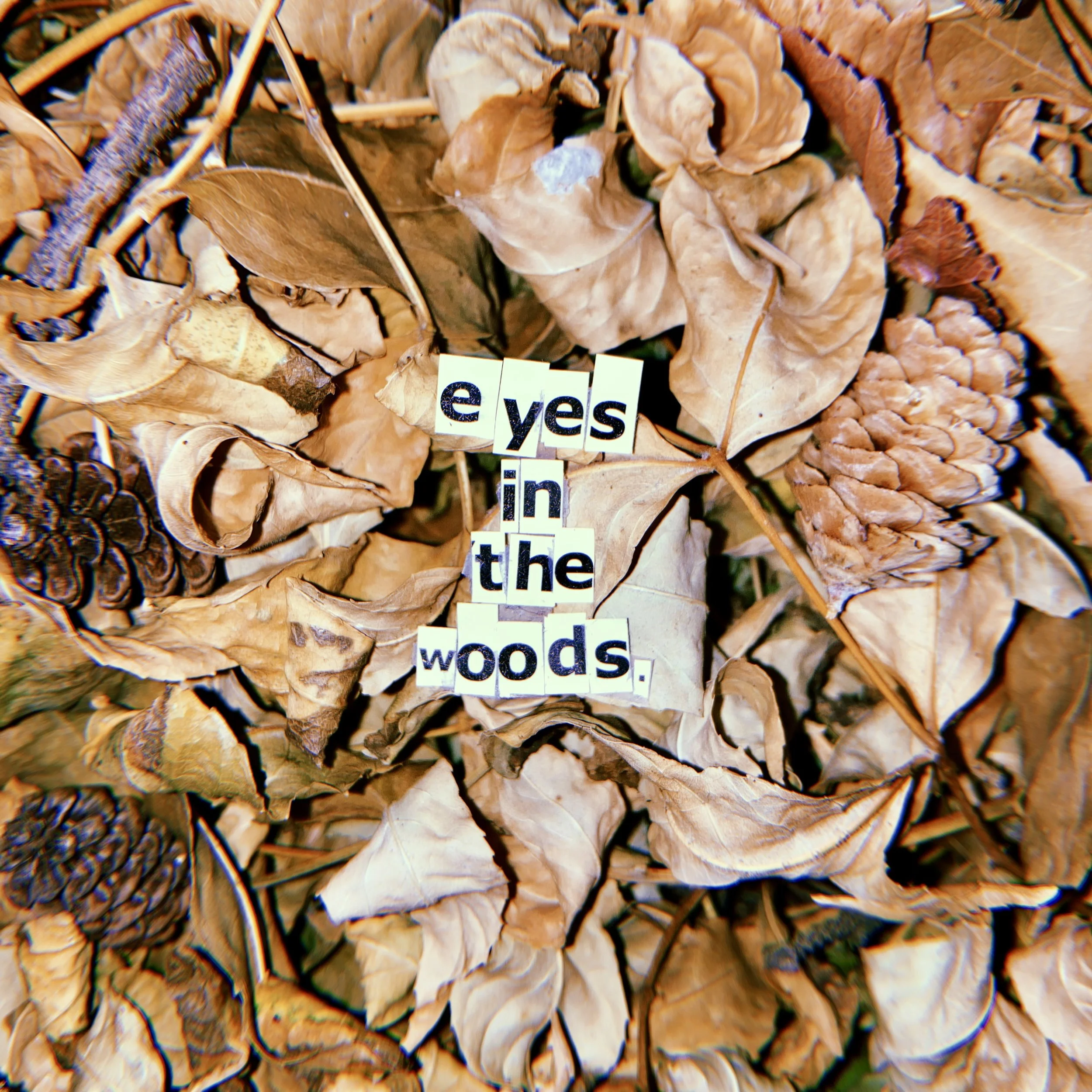 EYESINTHEWOODS.jpg