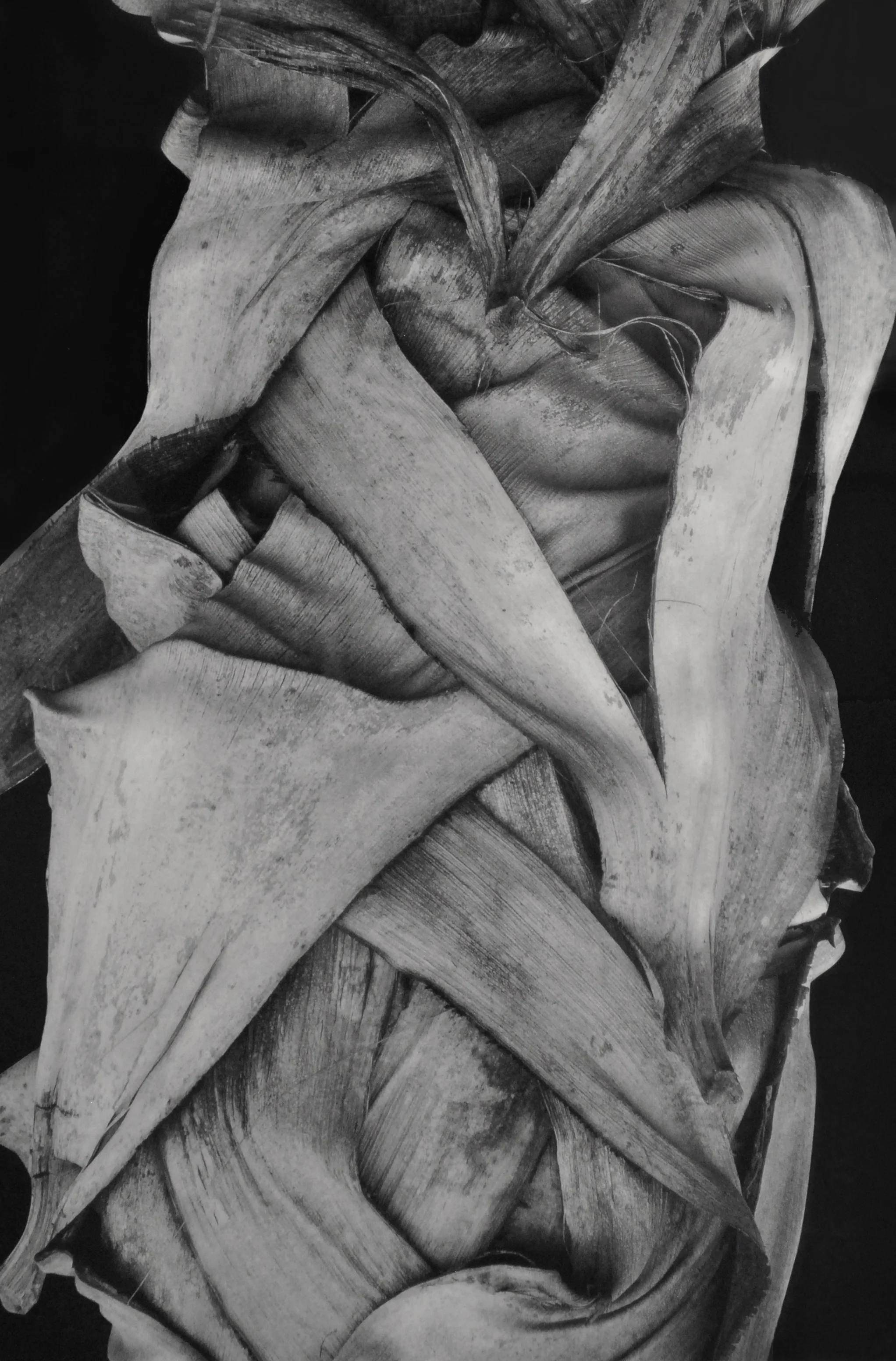 (detail)