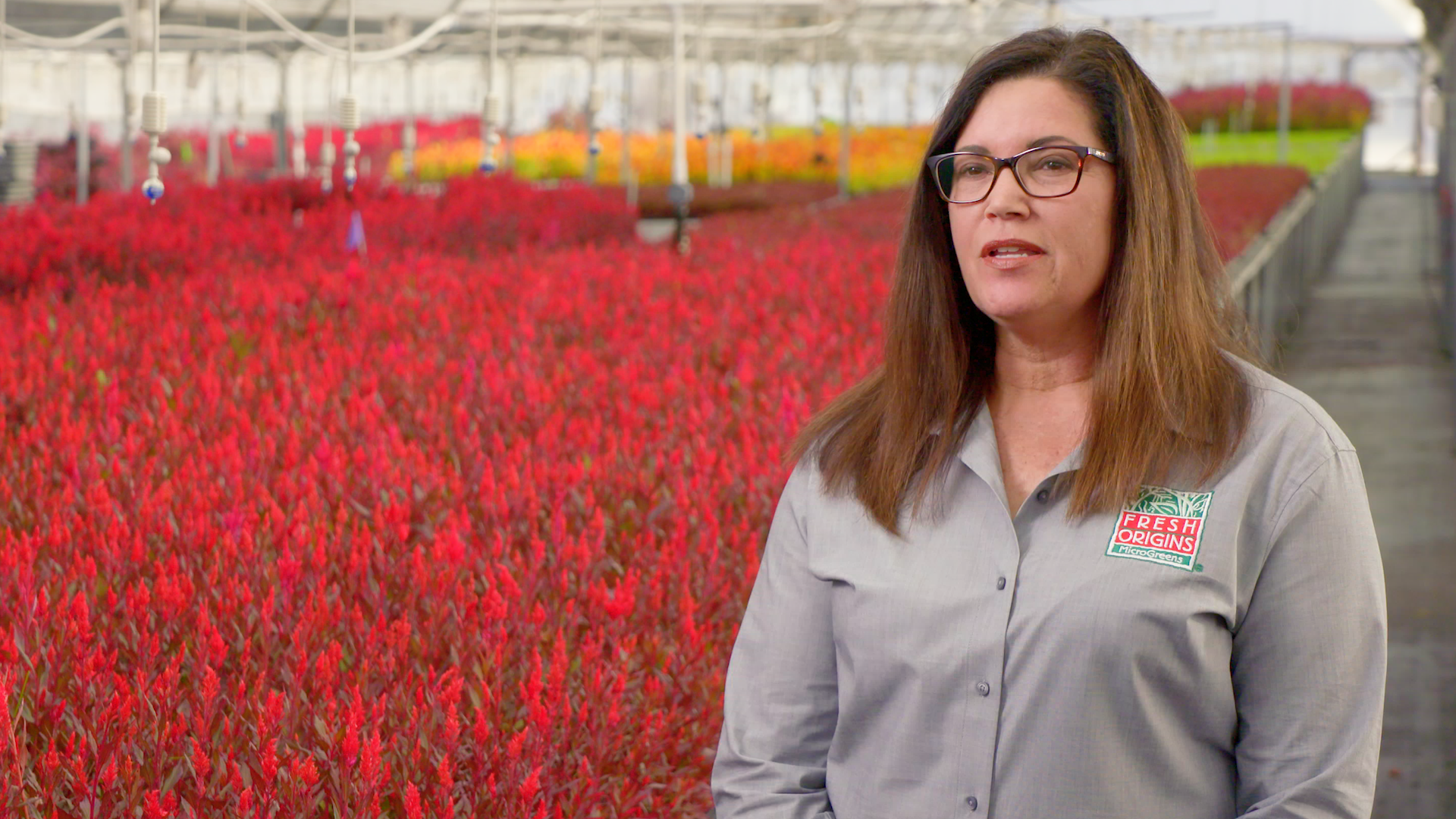 A Chicago corporate video production company films an employee interview in a greenhouse for a produce farm.