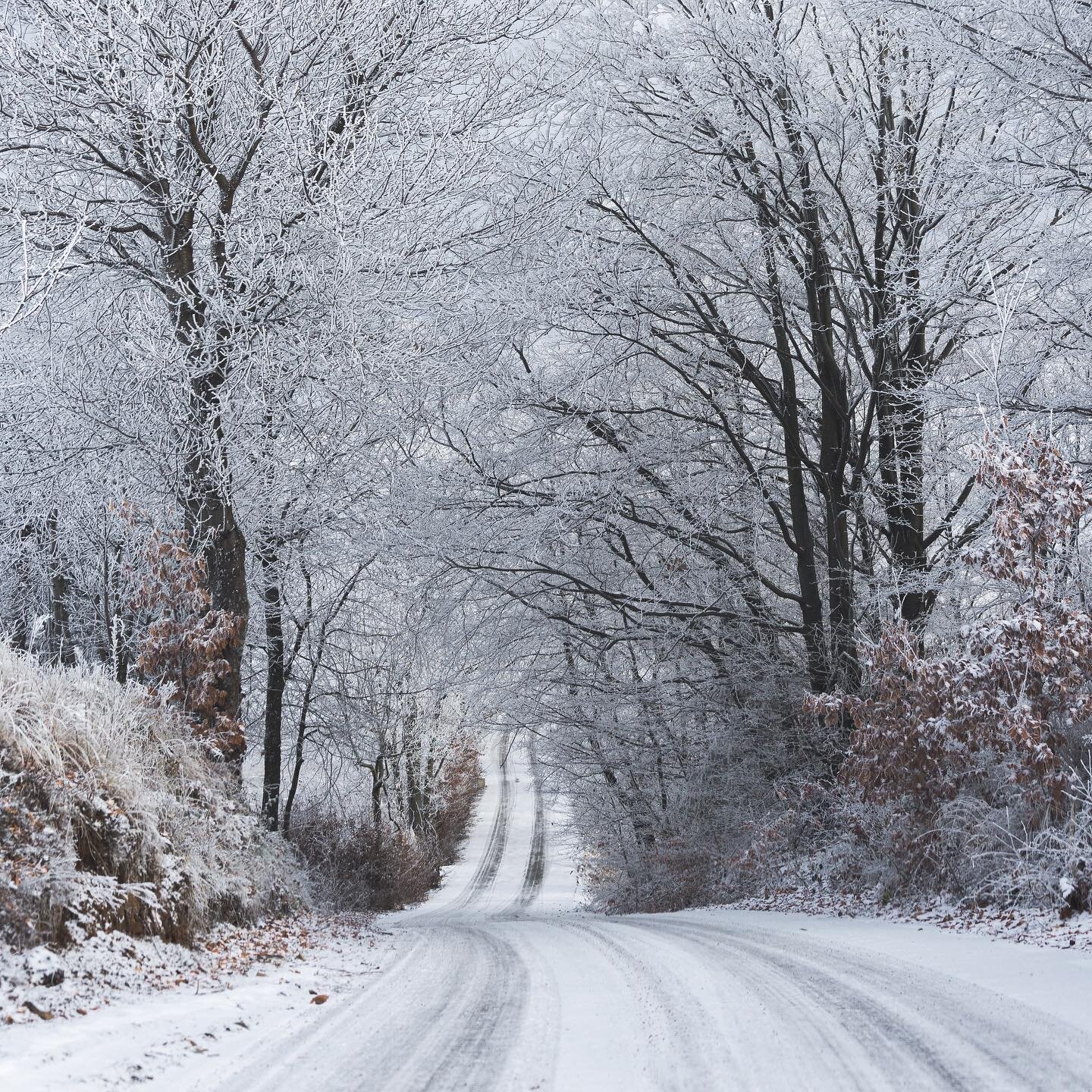 Due to extreme weather across the county, many carrier claims departments are overwhelmed. To avoid long wait times, we suggest filing your claim online. Visit our online service center for direct links to each carrier's claim department: https://www