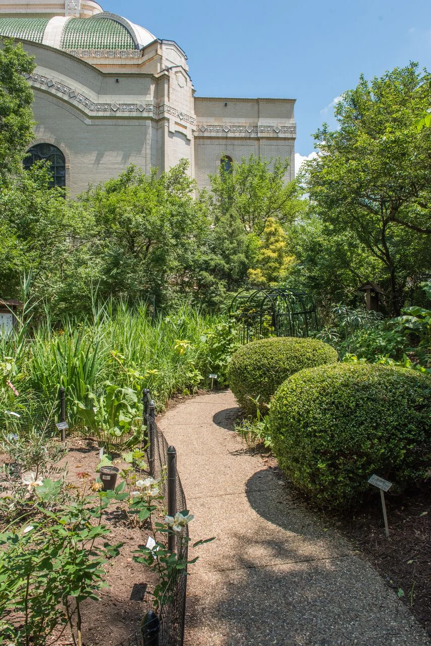 Rodef_Shalom10.jpg