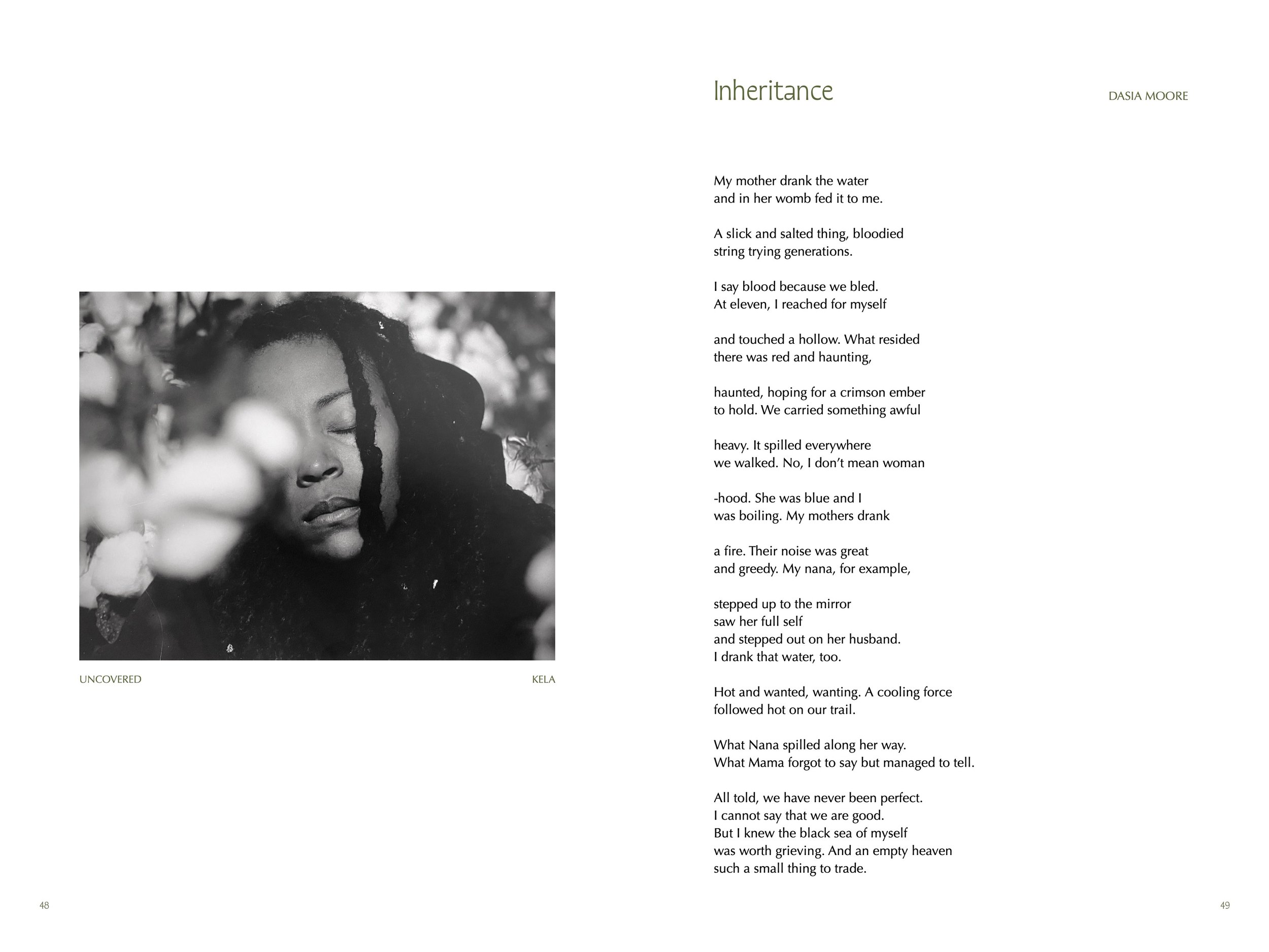 Revisionist Vol. 2-Relationships-Inheritance Spread_1.jpeg