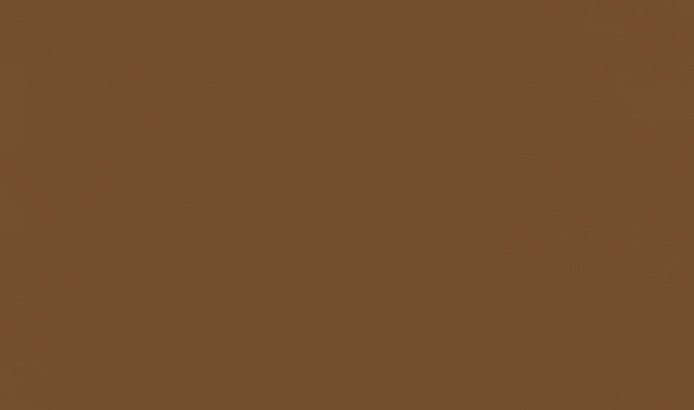 Orange_Notexture.jpg