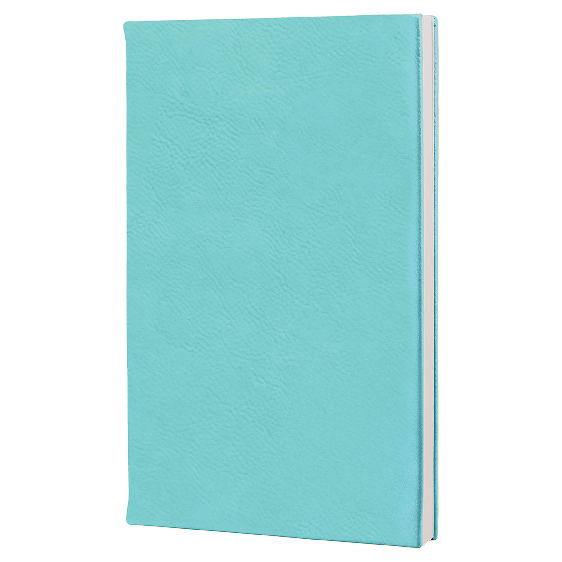 GFT809--teal.png