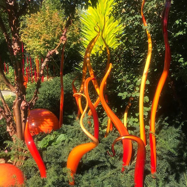 Chihuly Gardens