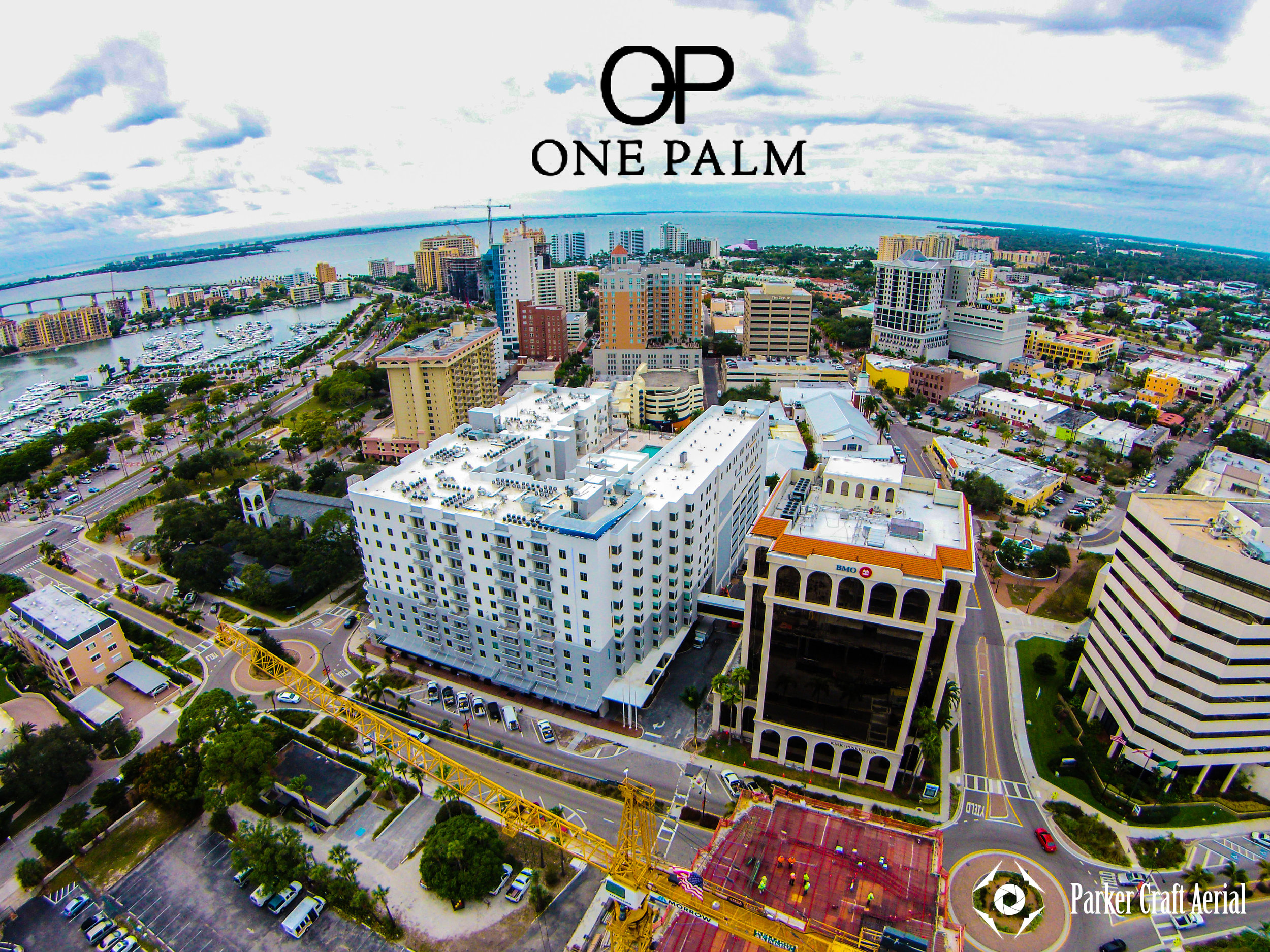 One Palm Aerial View