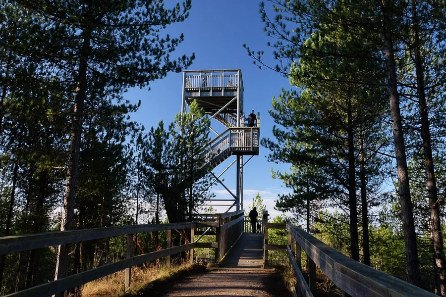 Culbin forest.jpg