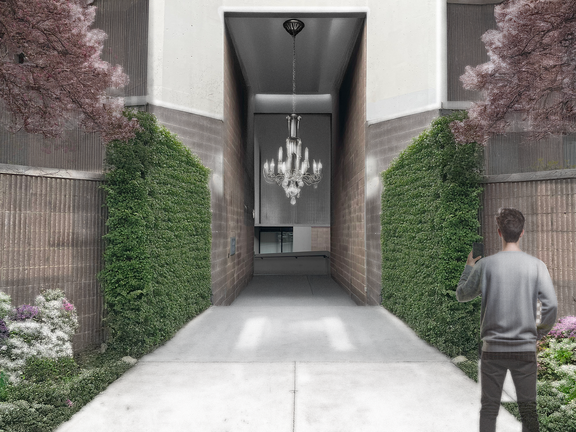 A young man with short hair, wearing a gray sweatshirt and black pants, is standing on a sidewalk, taking a photo of a modern building with a decorative chandelier hanging outside. The building has brick walls, green shrubbery, and pink trees on each side of the walkway.
