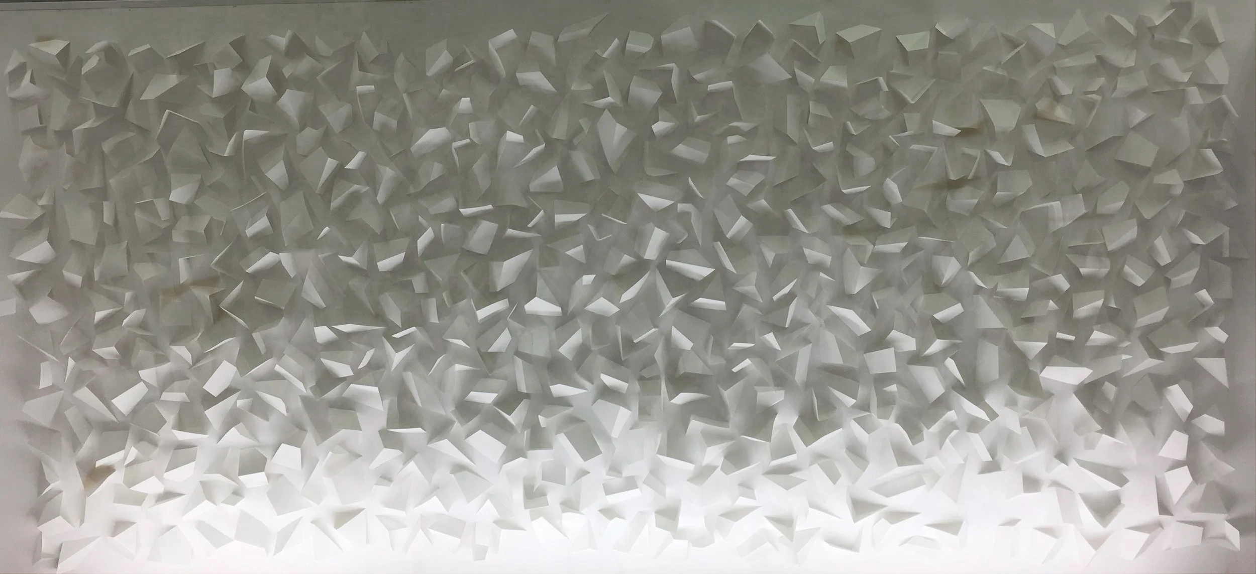 PD WHITE WALL.jpg