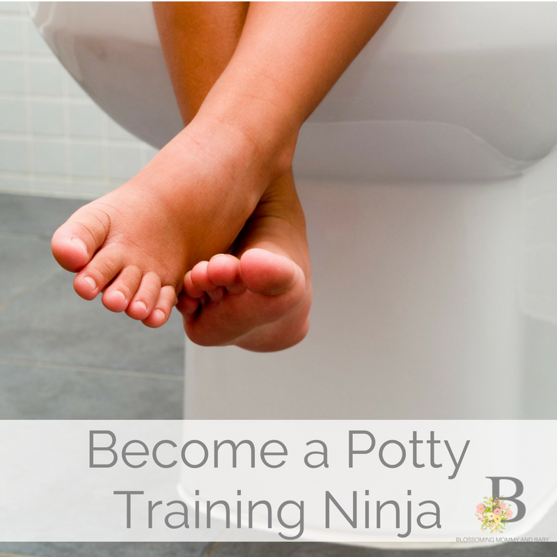 PottyTrainingNinja.png