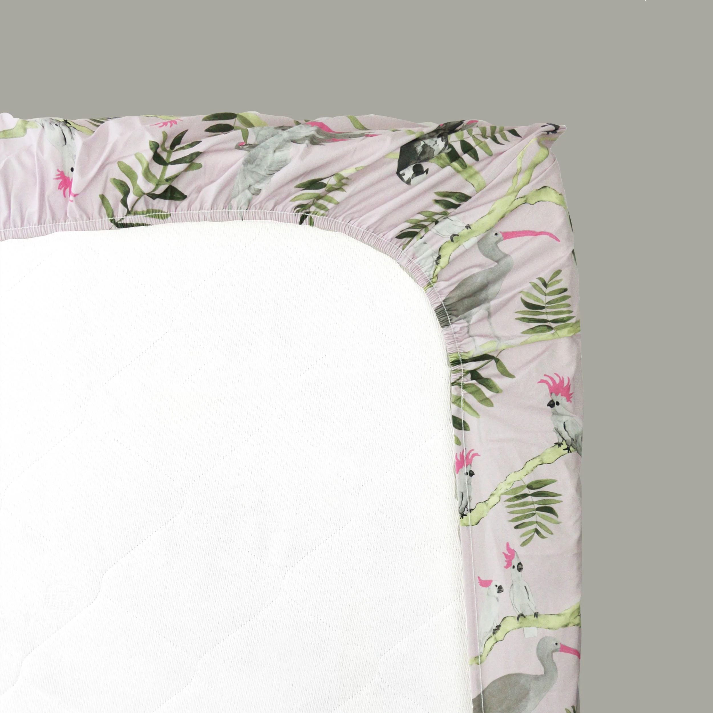 FS_Pink_grey_Toucans.jpg