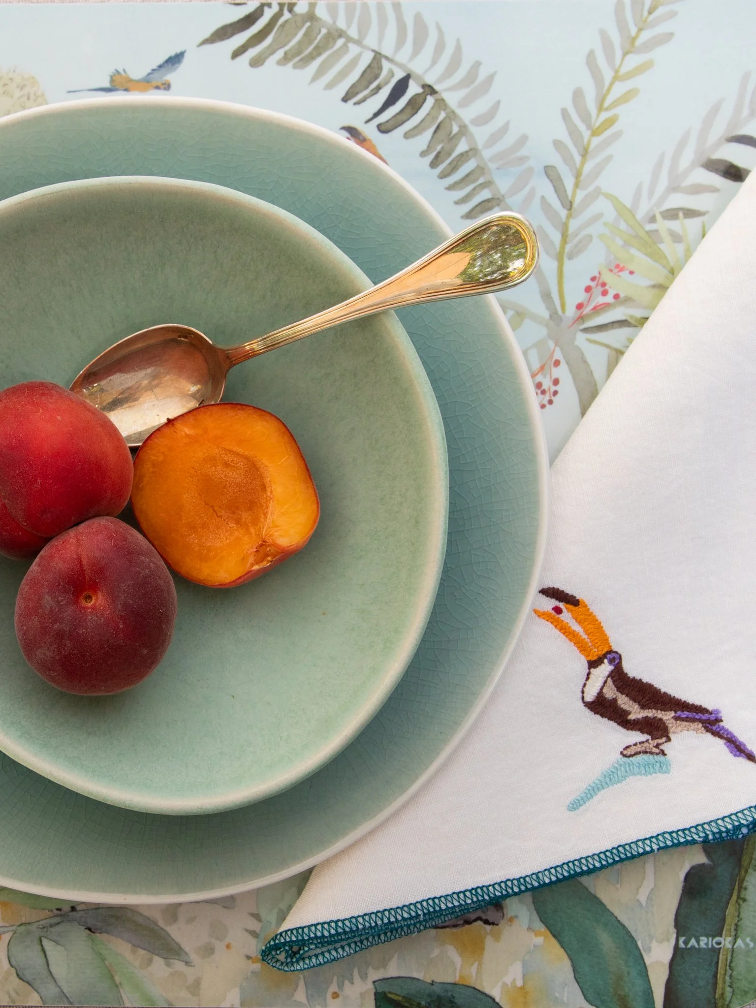 KARIOKAS Tucano napkin.jpg