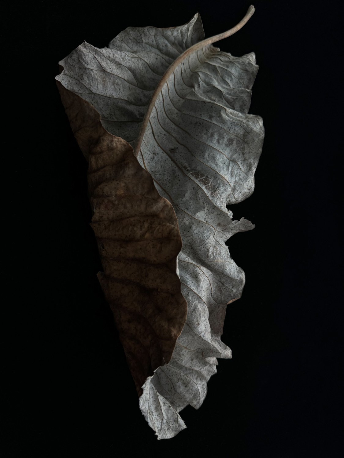 Untitled 05