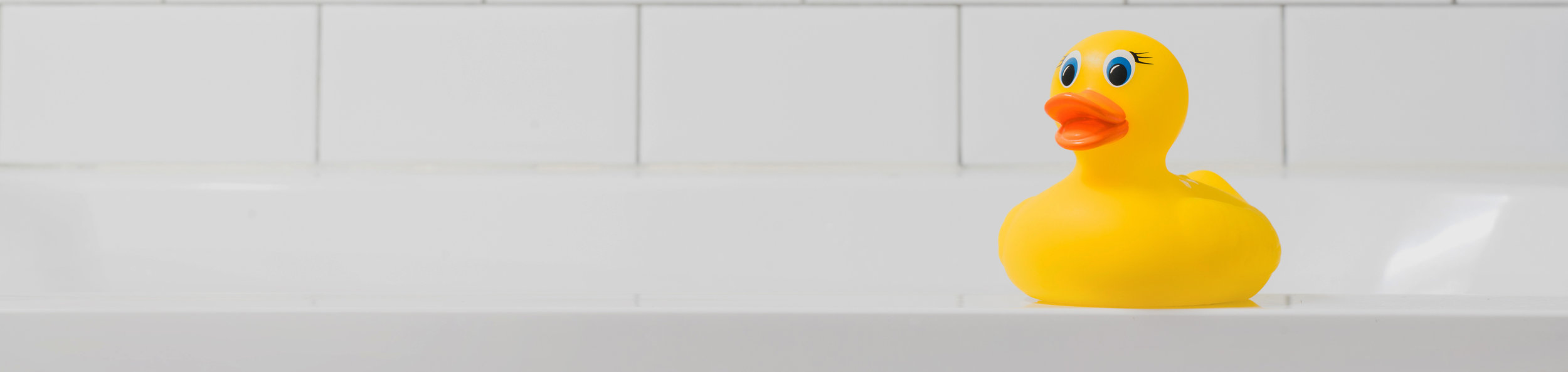 page header.jpg
