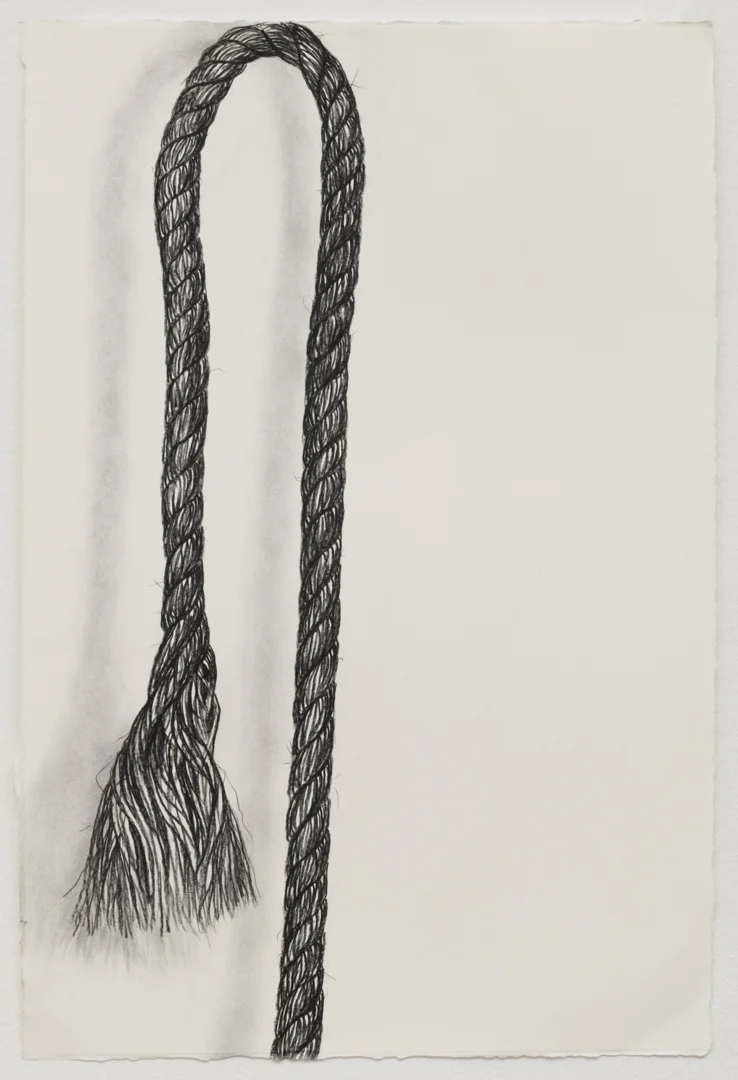 Rope Drawing, Day 5, 2018 Pencil, charcoal on paper 15” x 22”
