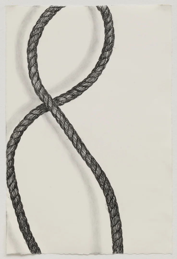 Rope Drawing Day 6, 2018 Pencil, charcoal on paper 15” x 22”