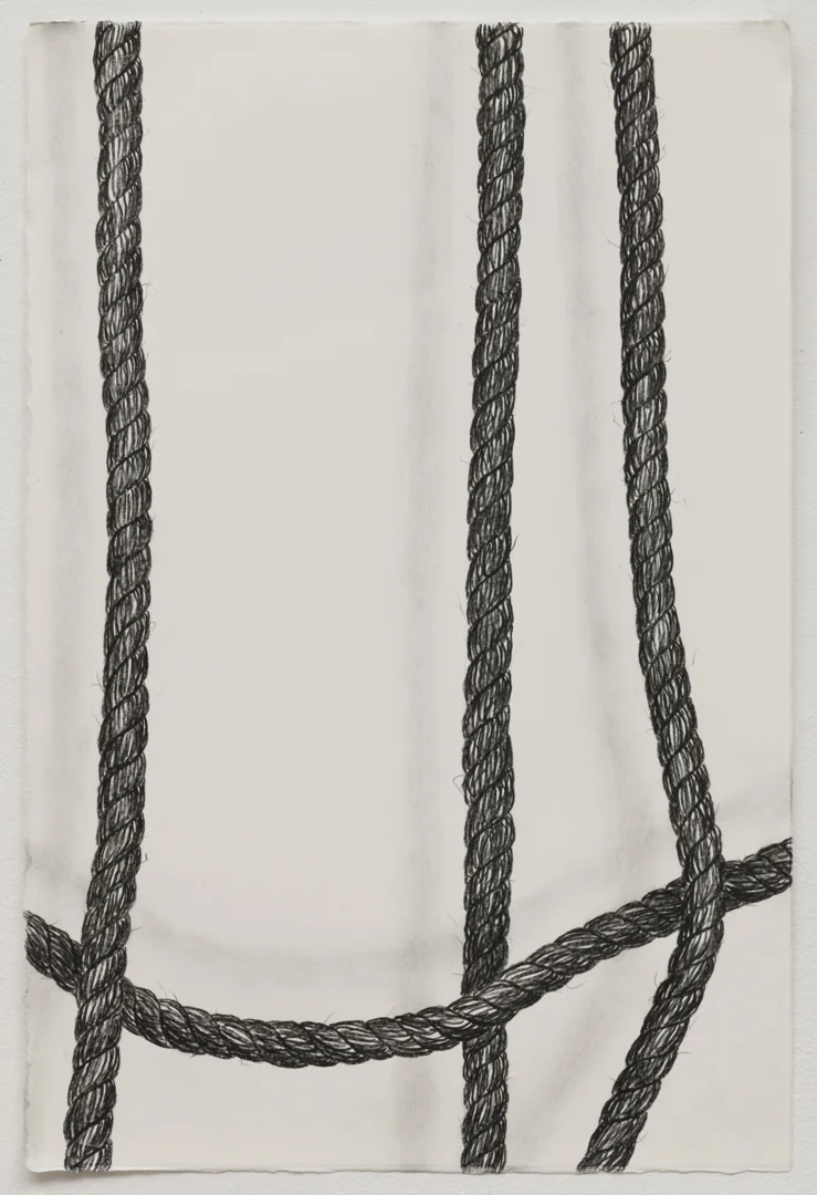 Rope Drawing, Day 7, 2018 Pencil, charcoal on paper 15” x 22”