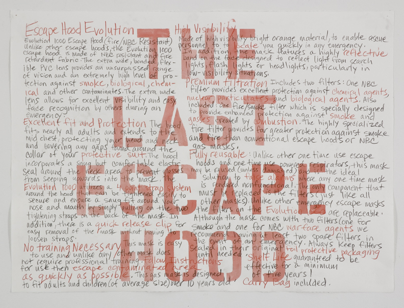 The Last Escape , 2007 Pencil, watercolor on paper 22" x 30"