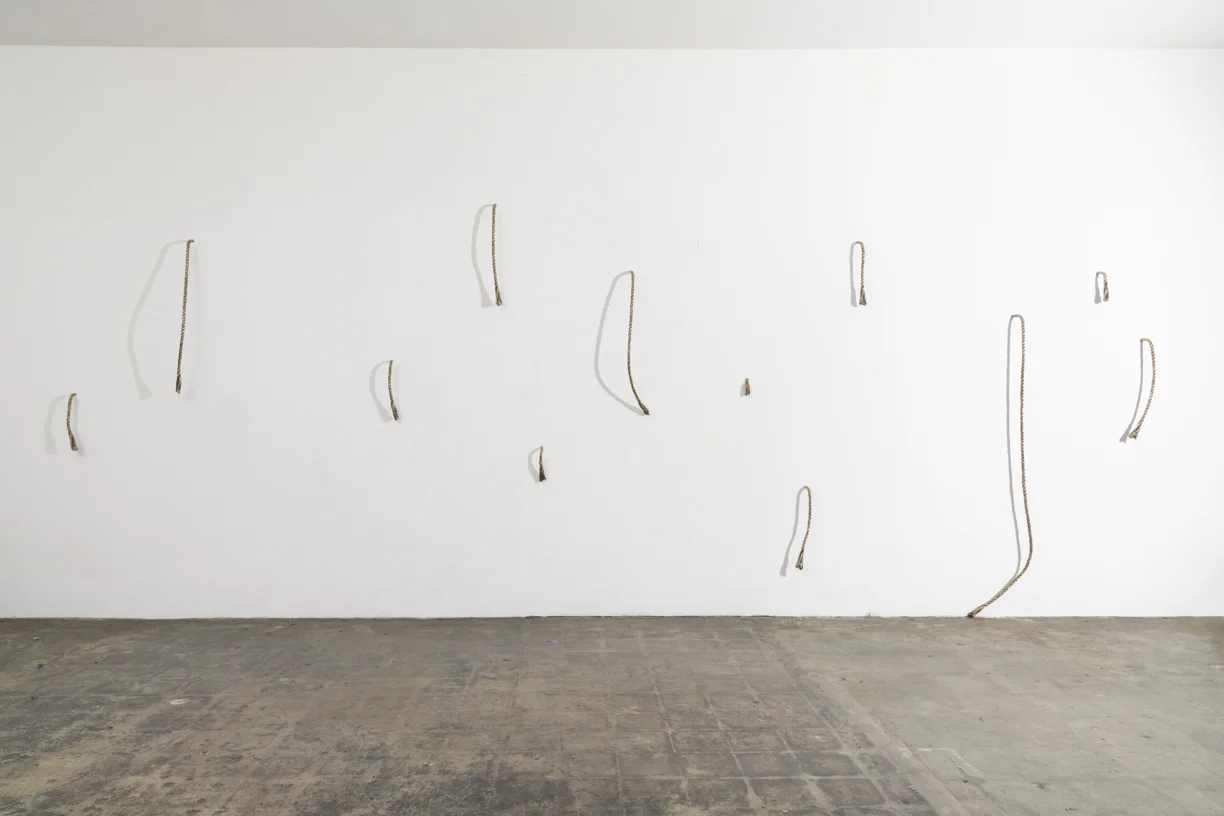 Life Lines (Installation), 2019 Cast bronze 108” x 276”