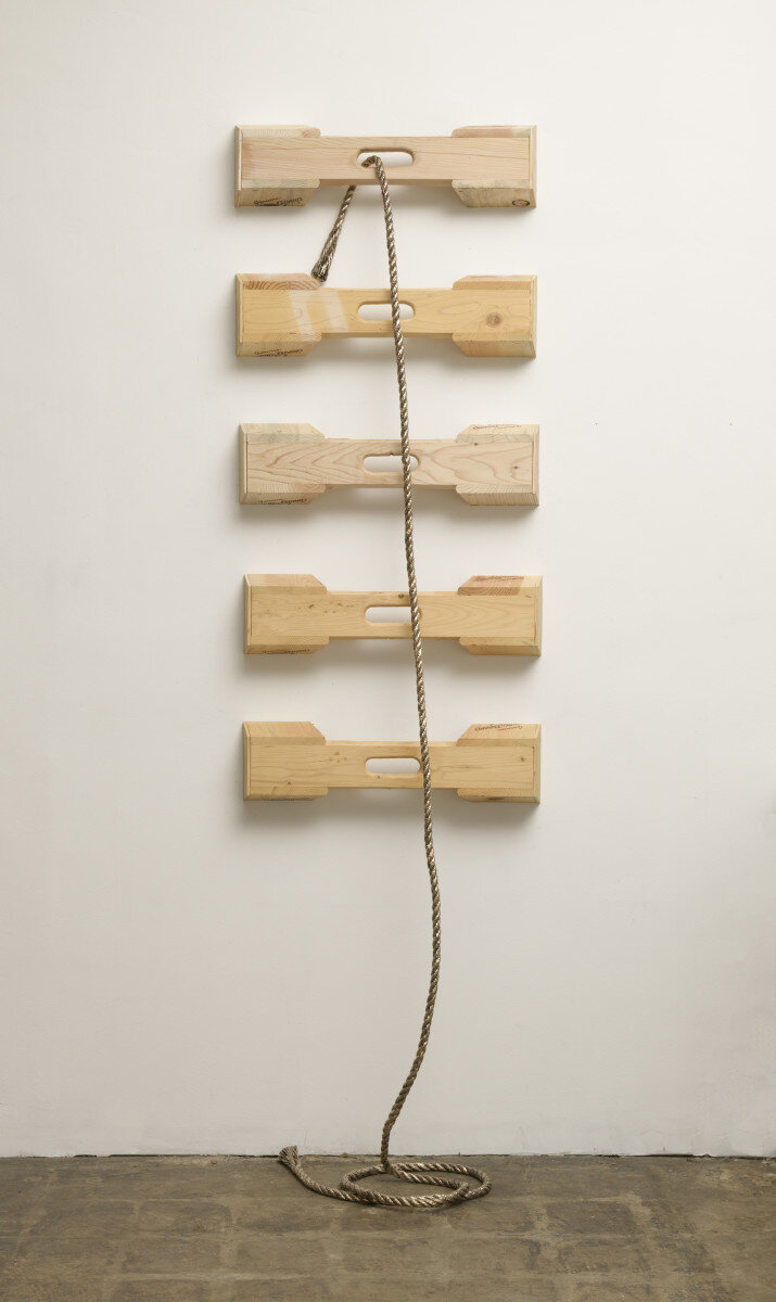 Rope, Ladder, 2018 Cast bronze, wood 99.5 x 29 x 15 in