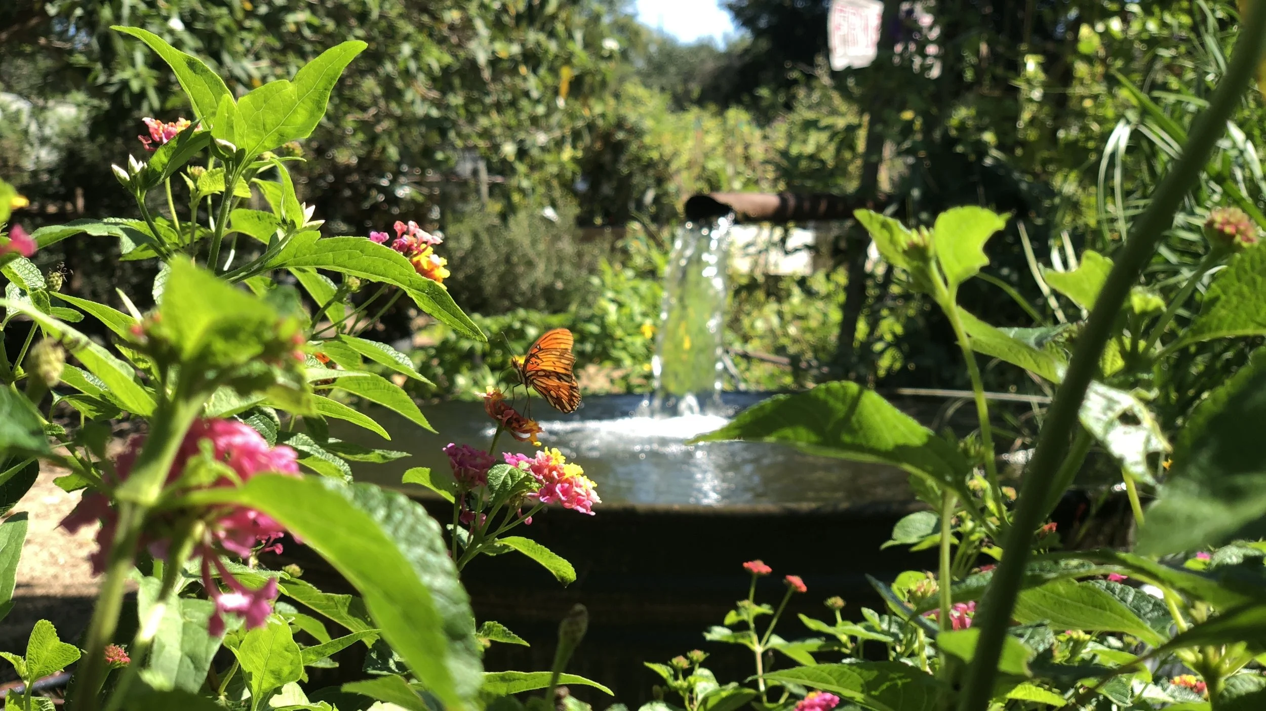 Take your garden from charming to enchanting