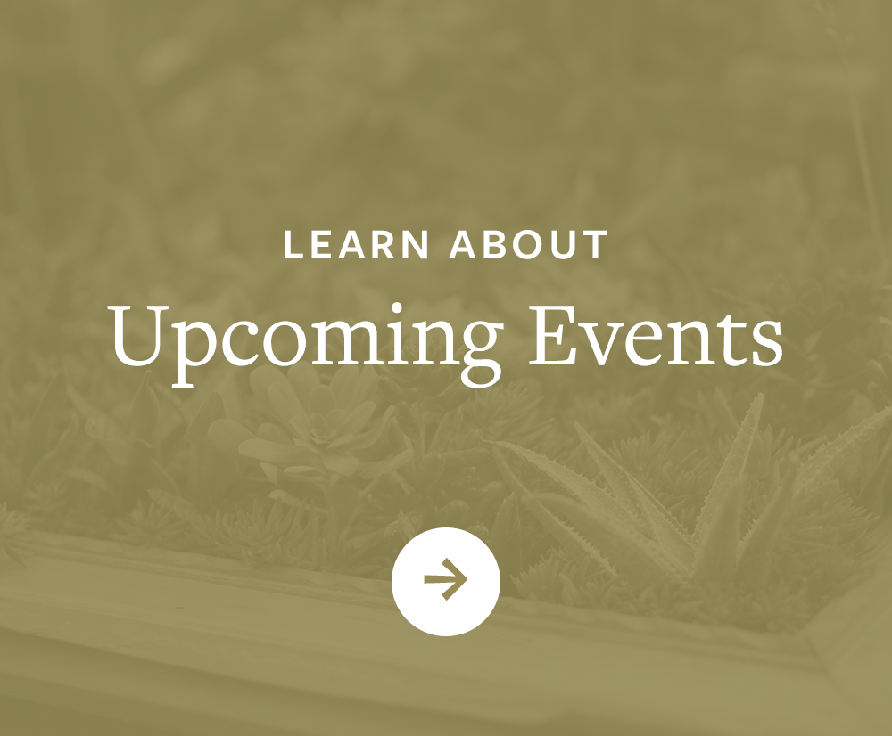 Enchanted Nurseries & Landscapes