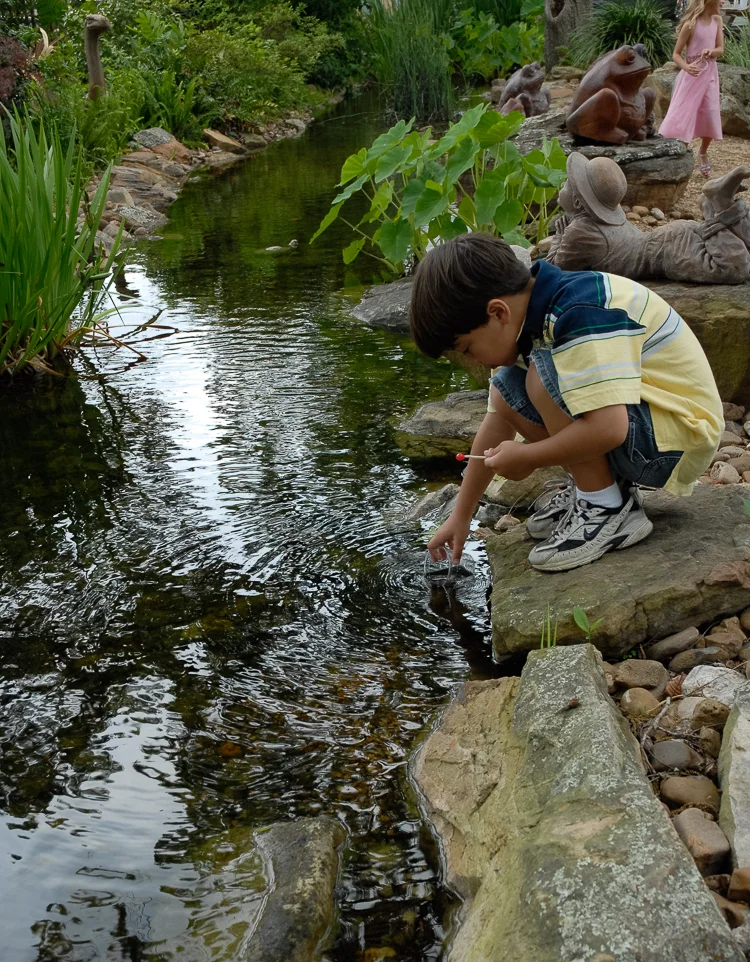 enchanted-forest-boy-water.jpg