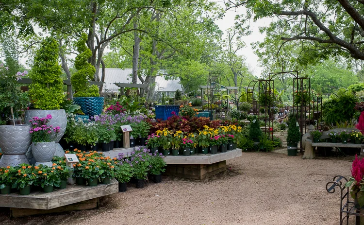 enchanted-forest-front-tables.jpg