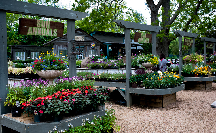 Enchanted Forest Enchanted Nurseries Landscapes