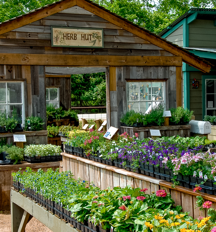 Enchanted Nurseries Landscapes