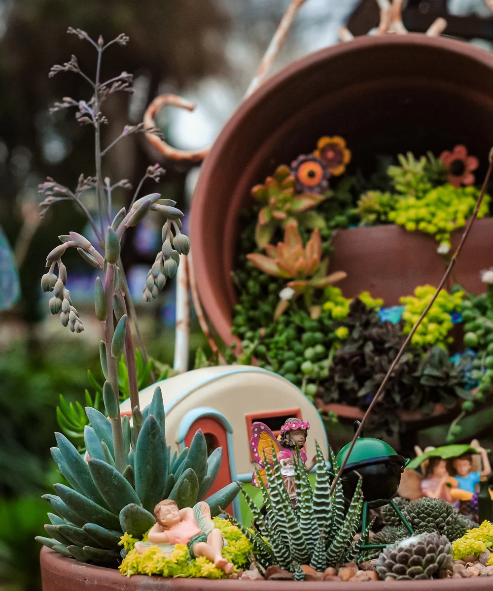 Both nurseries have elaborate fairy gardens planted in the landscape to inspire visitors and add to the enchantment. Pictured above: A resident fairy garden at Enchanted Gardens designed by our own Maria Cruz. #mariamakesitenchanted