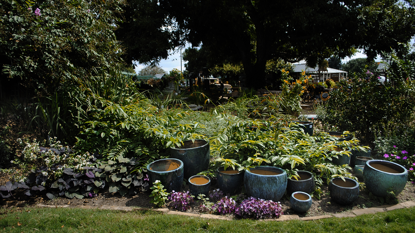 What You Ll Find Enchanted Nurseries Landscapes