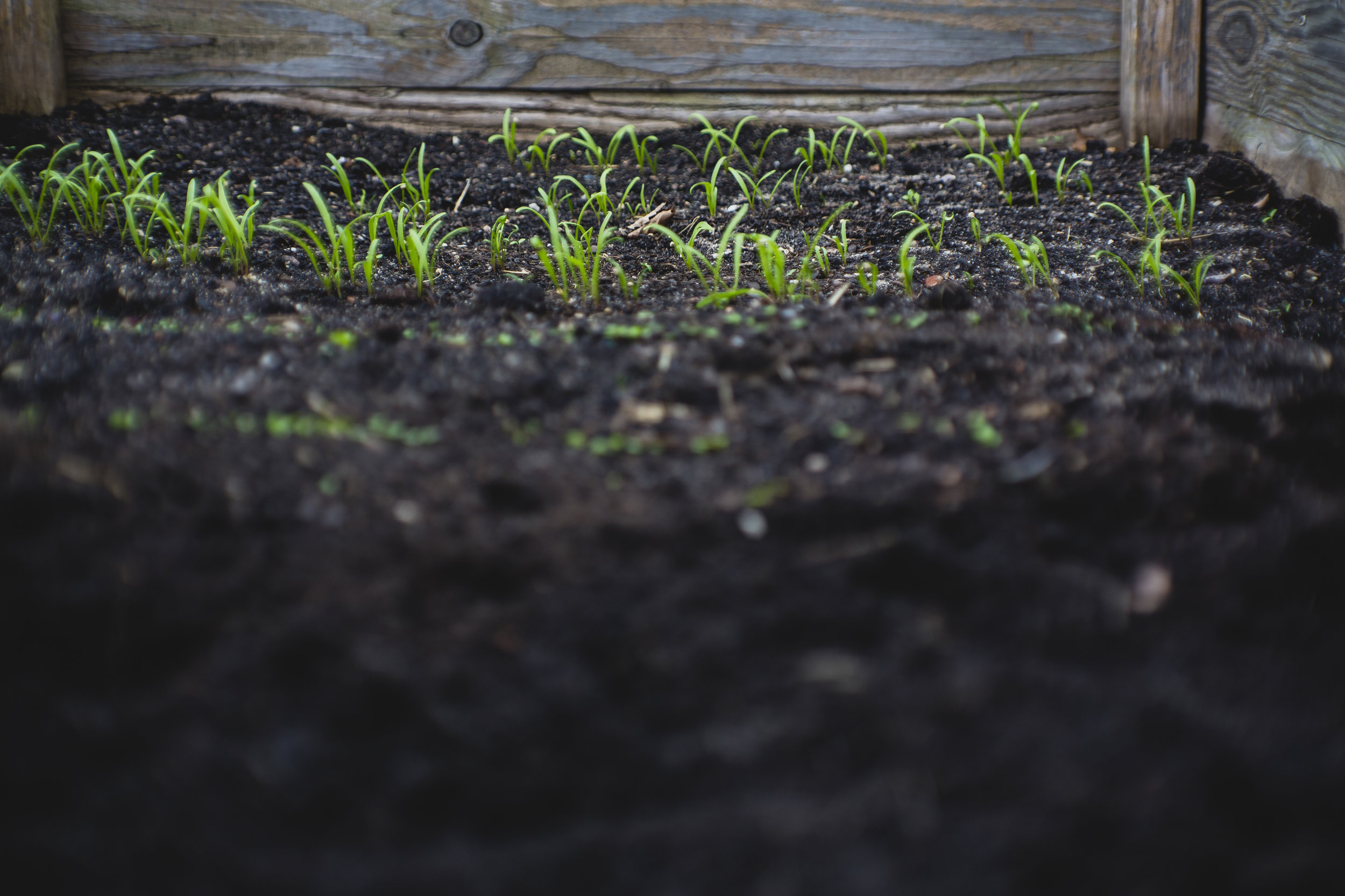 Andy Chidester at The Gardens | Going Organic