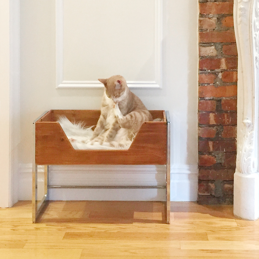 cat bed box