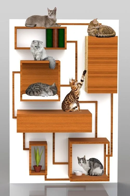 custom cat shelves