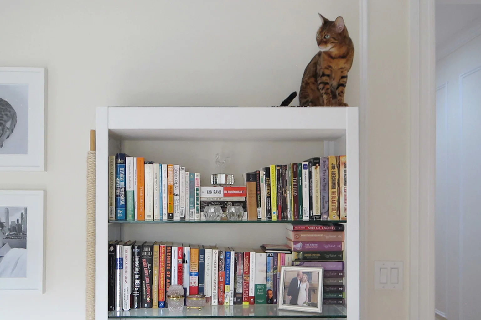 horizontal scratching post